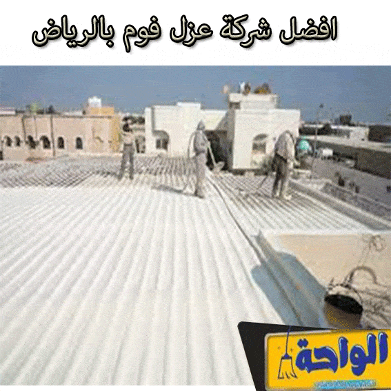 ارقام شركات رش المنازل بالمبيدات الحشريه جنوب الرياض
